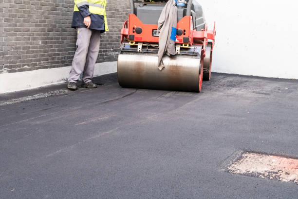 Best Driveway Border and Edging  in Olivet, MI